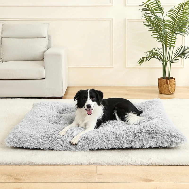 Pet Dog Soft Long Plush House Bed