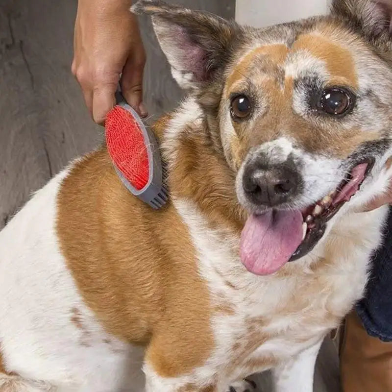 Pet Dog Double-Sided Shedding Brush