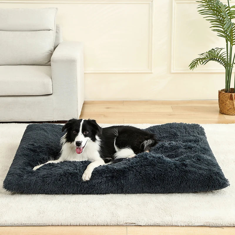 Pet Dog Soft Long Plush House Bed