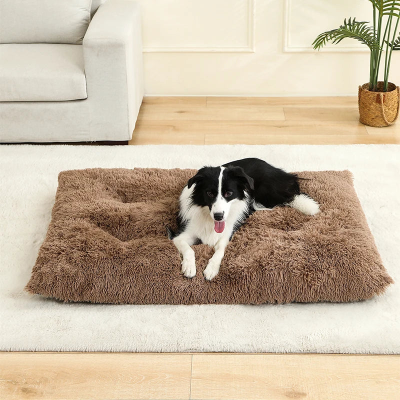 Pet Dog Soft Long Plush House Bed