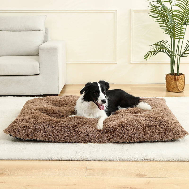 Pet Dog Soft Long Plush House Bed