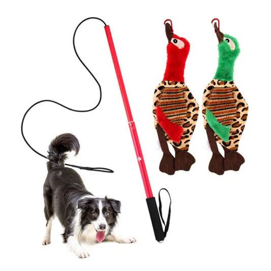 Interactive Flirt Pole Toy