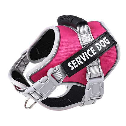 Pet Dogs Harness And Leash Set