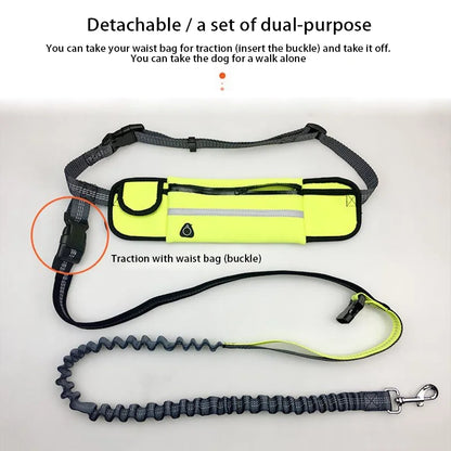 Pet Dog Leash Running Multi-functional Belt Bag