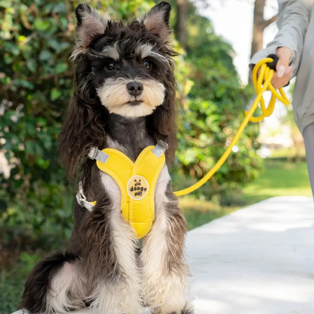 X Shaped Pet Dog Harness Vest Set
