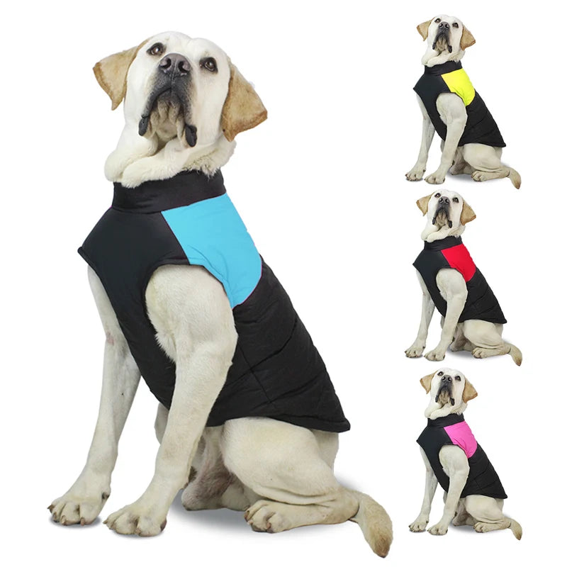 Pet Dog Winter Warm Waterproof Jacket