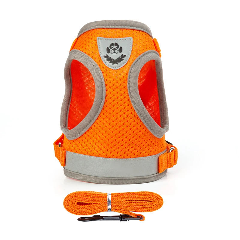 Puppy Harness and Leash Set Breathable