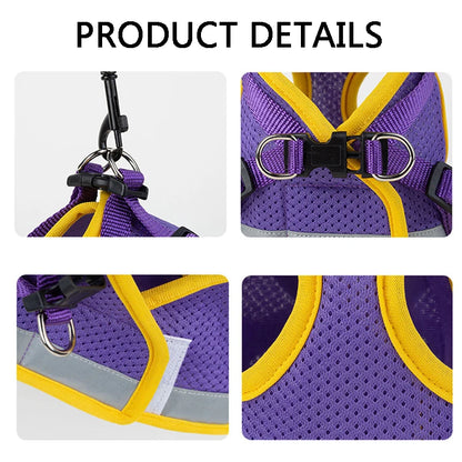 Puppy Harness and Leash Set Breathable