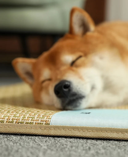 Comfort Breathable Pet Dog Waterproof Cooling Mat
