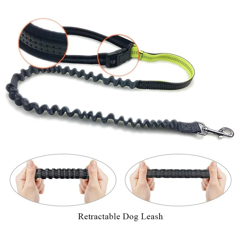 Pet Dog Leash Running Multi-functional Belt Bag