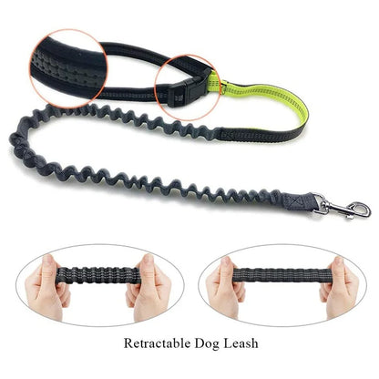 Pet Dog Leash Running Multi-functional Belt Bag