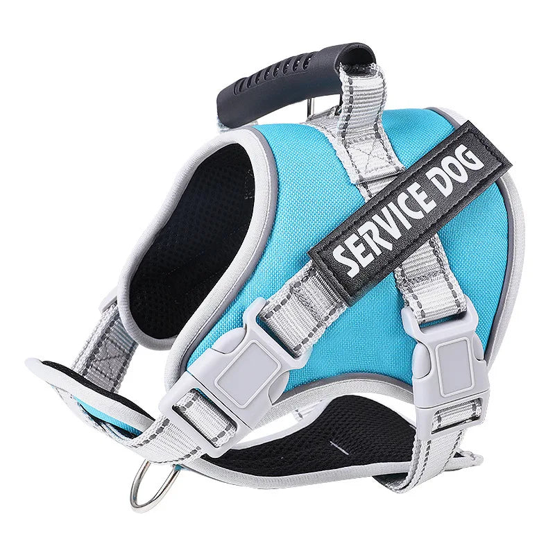 Pet Dogs Harness And Leash Set