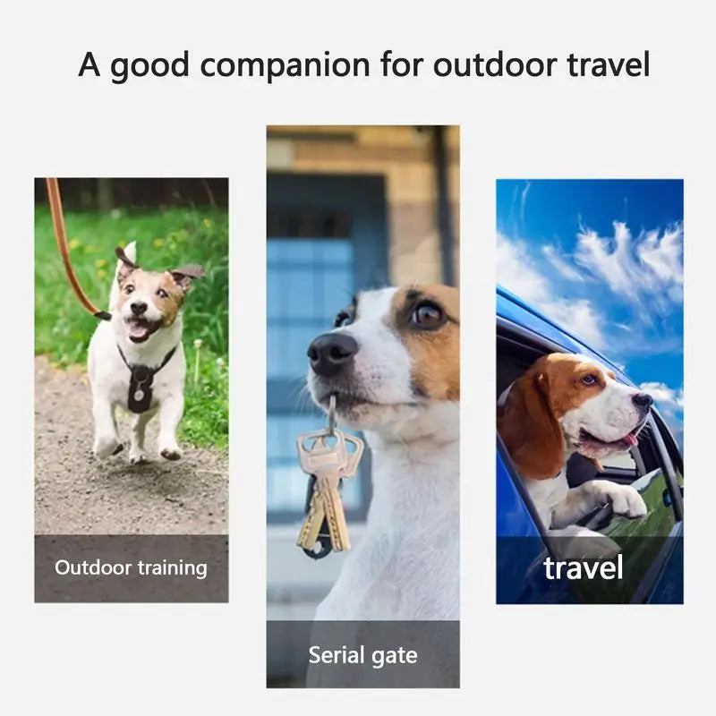 Pet Dog Water Bottle With Food Container