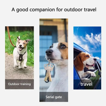 Pet Dog Water Bottle With Food Container