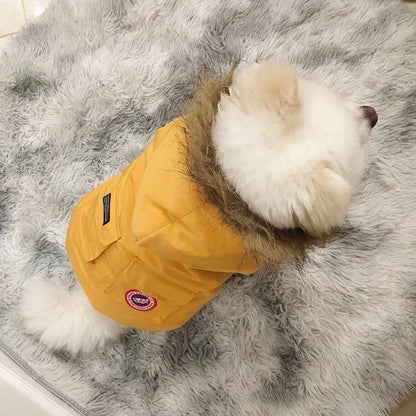 Winter Warm French Bulldog Pug Hooded Coat