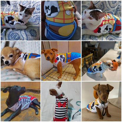 Summer/Spring Cartoon Quick-drying Hoodie