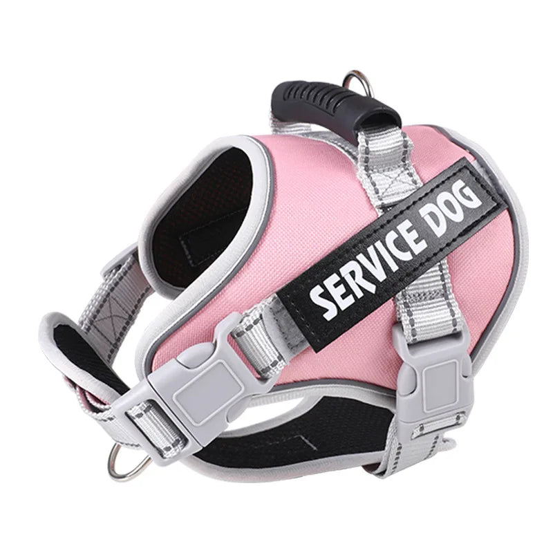 Pet Dogs Harness And Leash Set