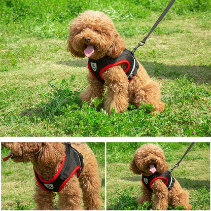 Puppy Harness and Leash Set Breathable