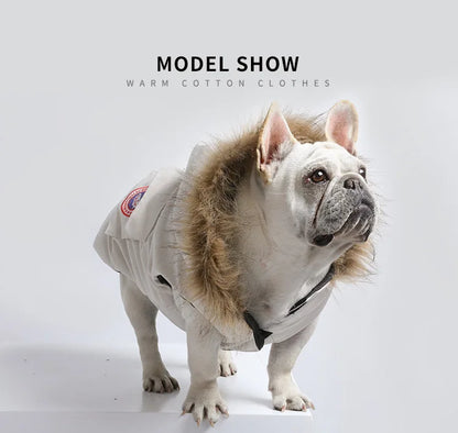 Winter Warm French Bulldog Pug Hooded Coat