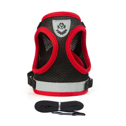 Puppy Harness and Leash Set Breathable