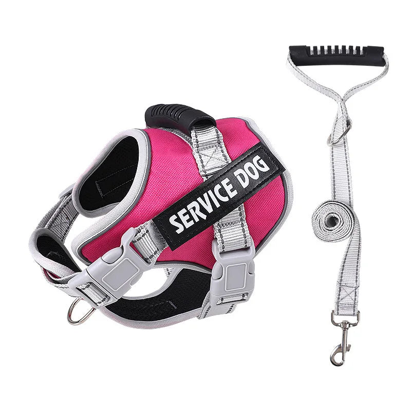 Pet Dogs Harness And Leash Set