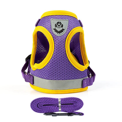 Puppy Harness and Leash Set Breathable