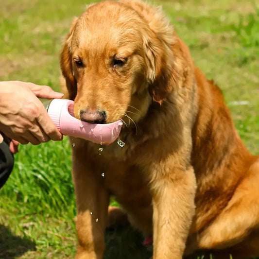 Portable Pet Dog Water Cup - Outdoor Travel