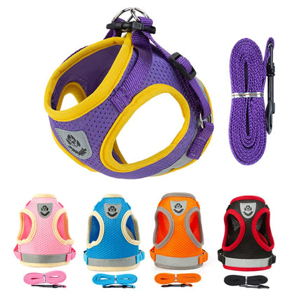 Puppy Harness and Leash Set Breathable