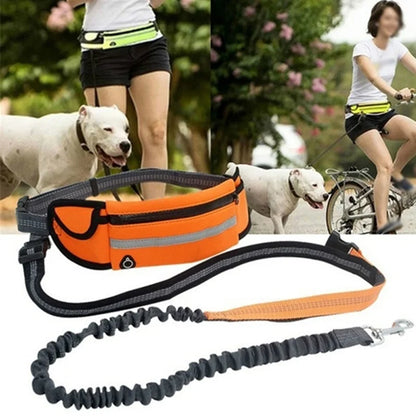 Pet Dog Leash Running Multi-functional Belt Bag