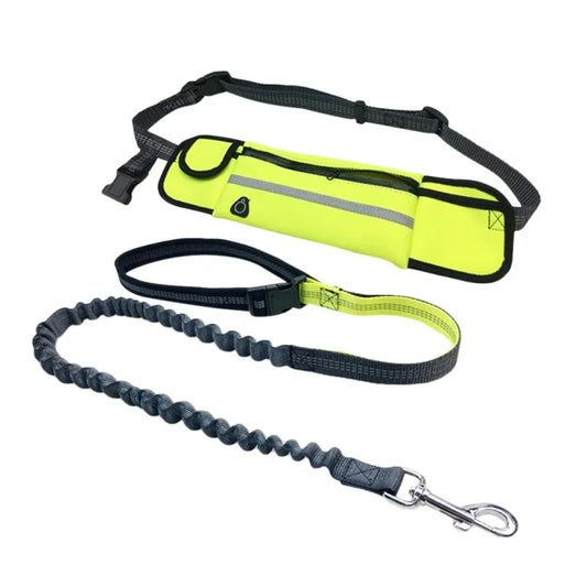 Pet Dog Leash Running Multi-functional Belt Bag