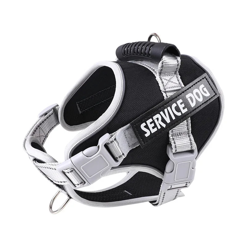 Pet Dogs Harness And Leash Set