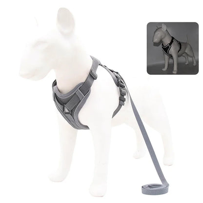 No Pull Adjustable Pet Dog Harness and Leash Set