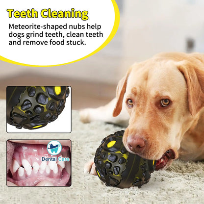 Interactive Fun Squeaky Sound Durable Ball Toy