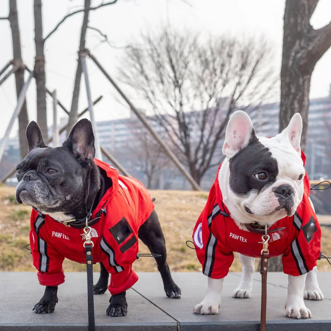 Pet Dog Waterproof Coat Outdoor Jacket