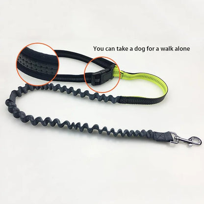 Pet Dog Leash Running Multi-functional Belt Bag