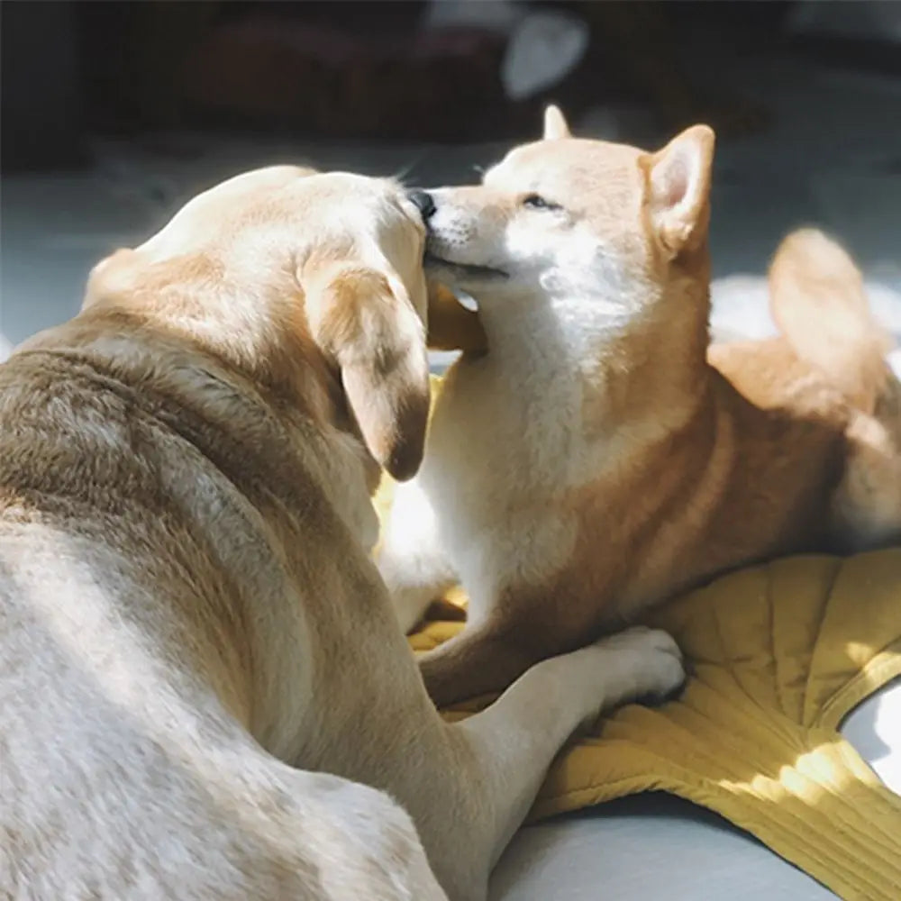 Pet Dog Cooling Leaf Mat