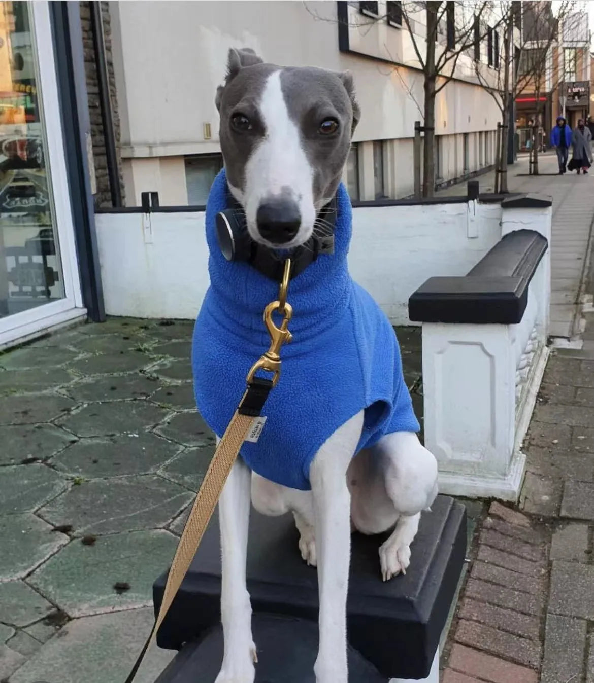 Winter Warm Fleece Whippet Vest Italian Clothes