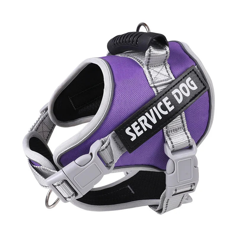 Pet Dogs Harness And Leash Set