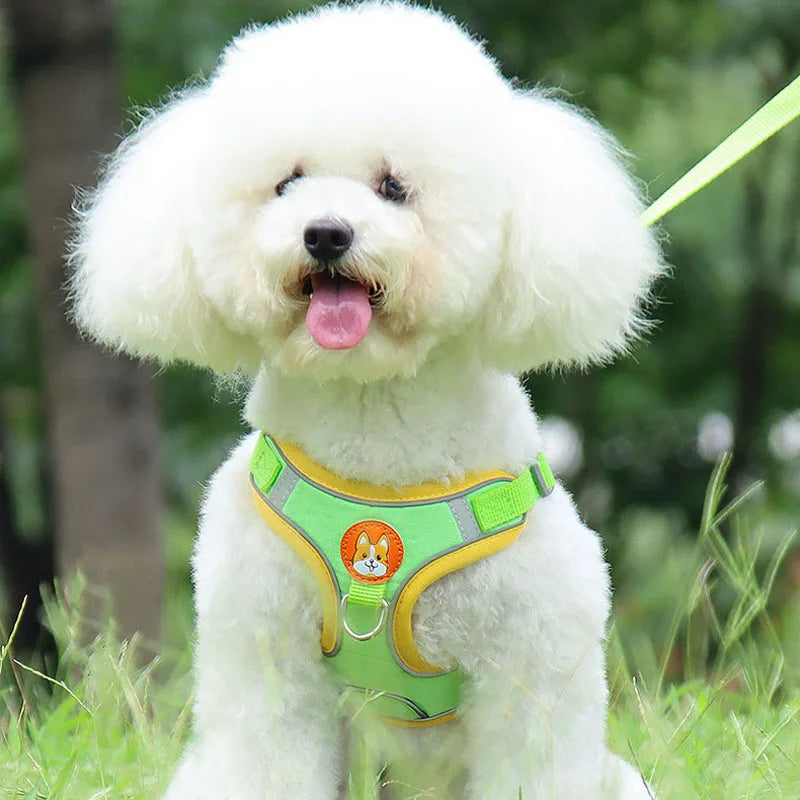 Pet Dog Harness and Leash Set Adjustable