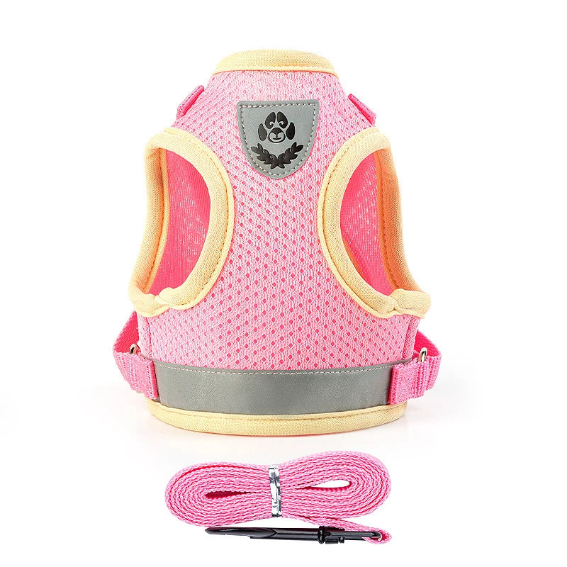Puppy Harness and Leash Set Breathable