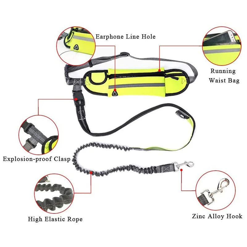 Pet Dog Leash Running Multi-functional Belt Bag