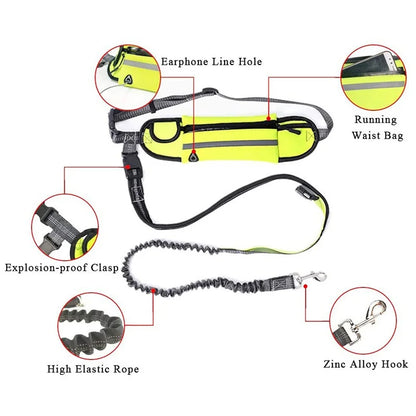 Pet Dog Leash Running Multi-functional Belt Bag