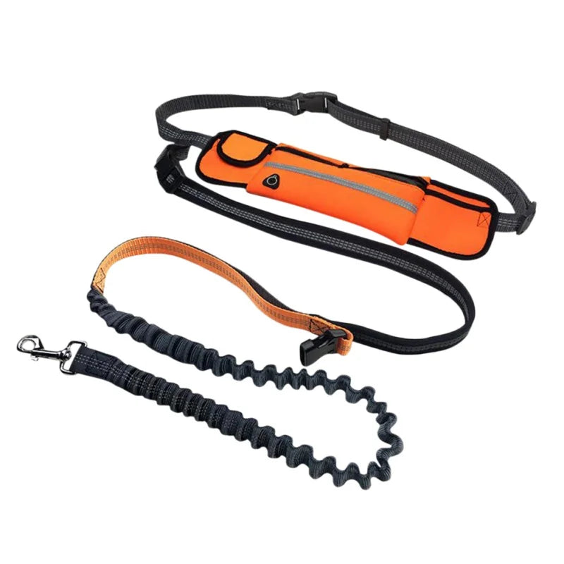 Pet Dog Leash Running Multi-functional Belt Bag