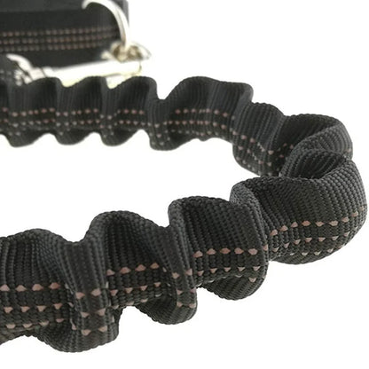 Pet Dog Leash Running Multi-functional Belt Bag