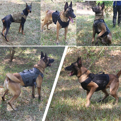 Retriever Tactical  Training Dog Harness and Leash Set