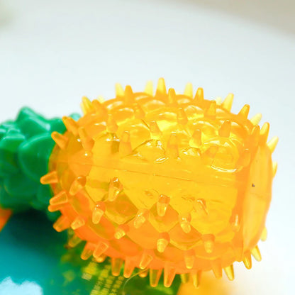 Water-Filling & Freezing Dog Chew Toy