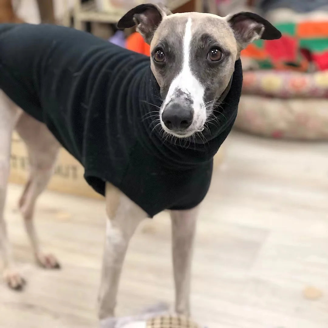 Winter Warm Fleece Whippet Vest Italian Clothes