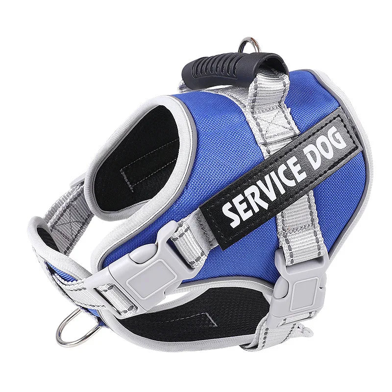 Pet Dogs Harness And Leash Set