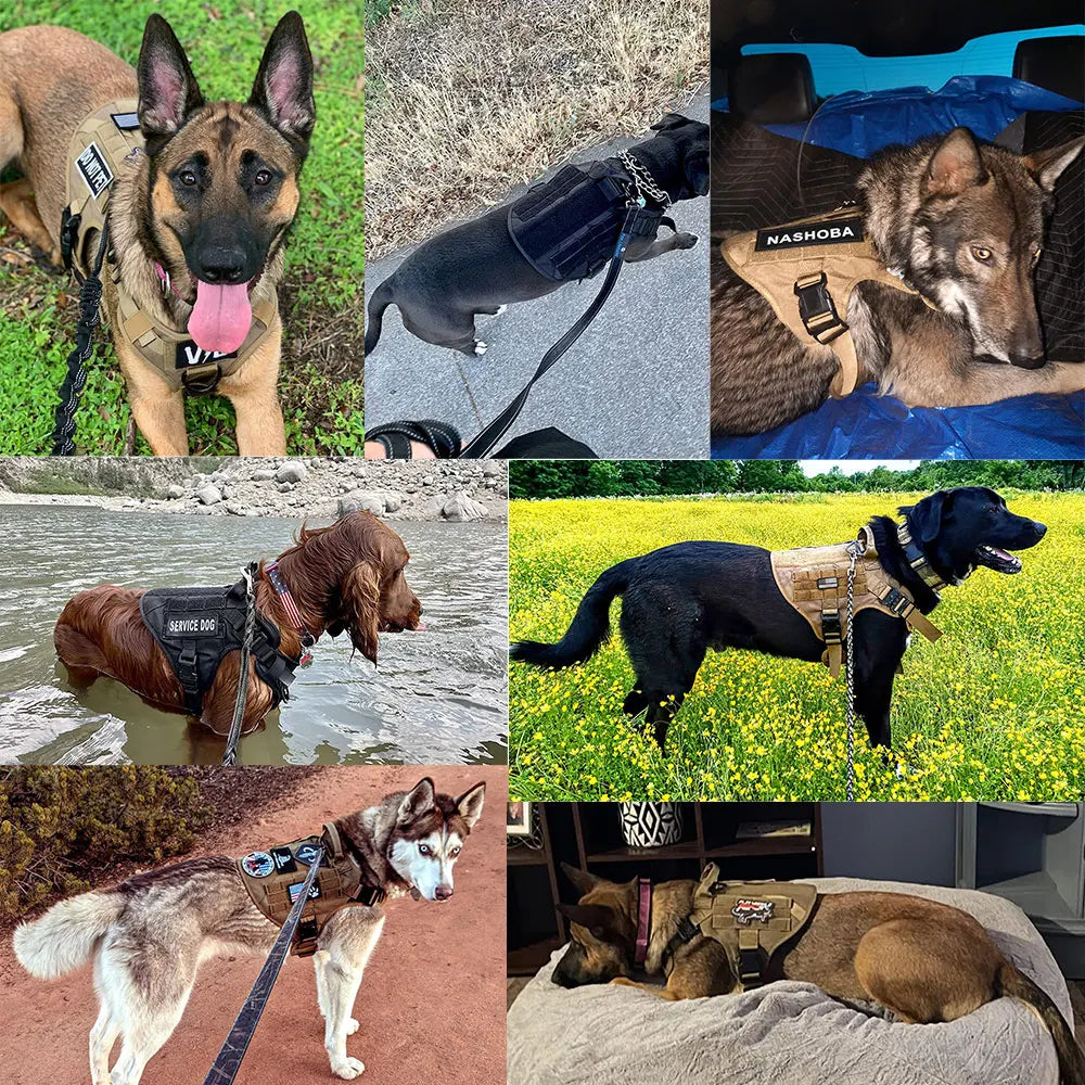 Military Large Pet Dog Harness Collar Leash Bag