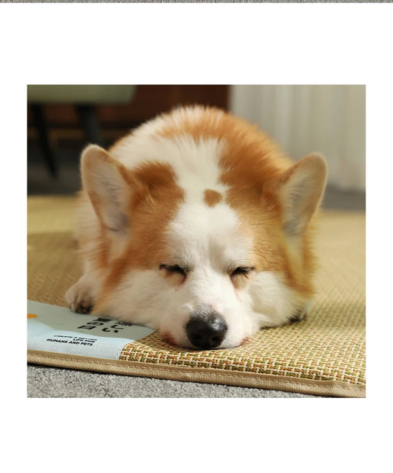 Comfort Breathable Pet Dog Waterproof Cooling Mat